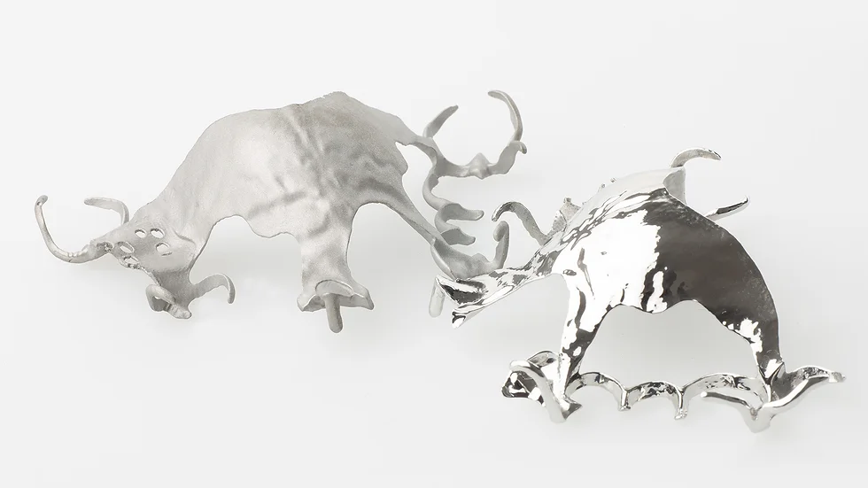 SLM RPD Frame - CoCr finished + Polished